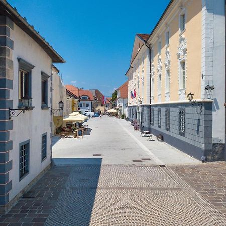 Vila Radolca Apartments & Rooms Radovljica Exterior photo